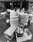 Fulton Street Fish Market, 1967