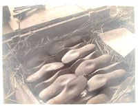 
SCHUHLEISTEN, FAGUSWERK ALFELD (SHOE LASTS)
